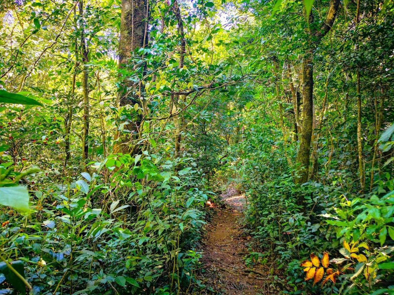 Quality Cabins Monteverde Esterno foto